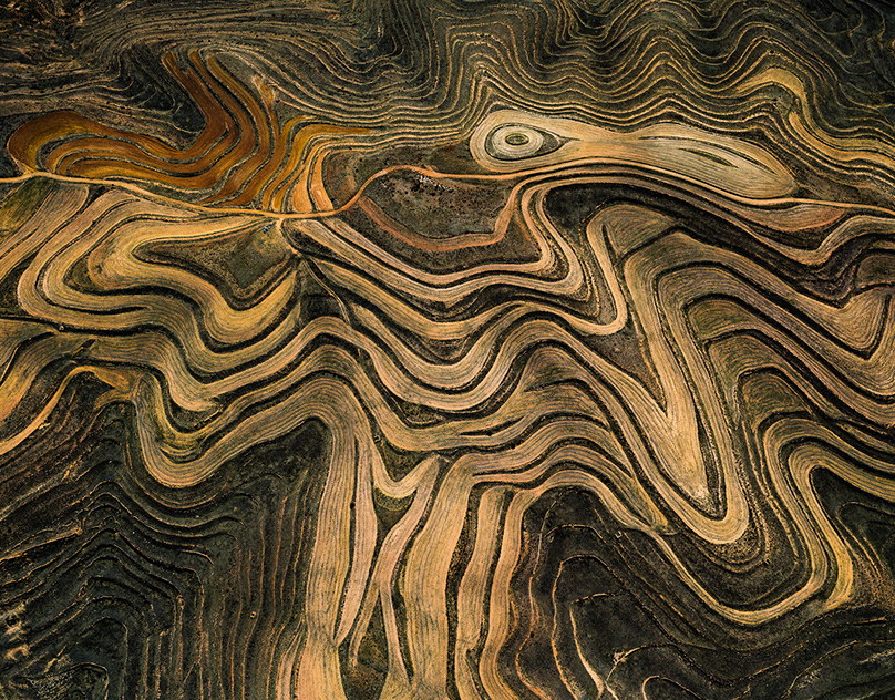 28 февраля: лекция об искусственном интеллекте в Музее криптографии