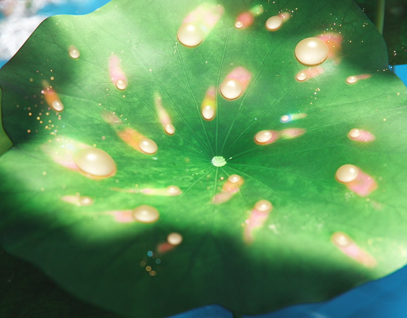 Мишустин напомнил о самостоятельном производстве комплектующих в СССР и заявил о планах по МС-21